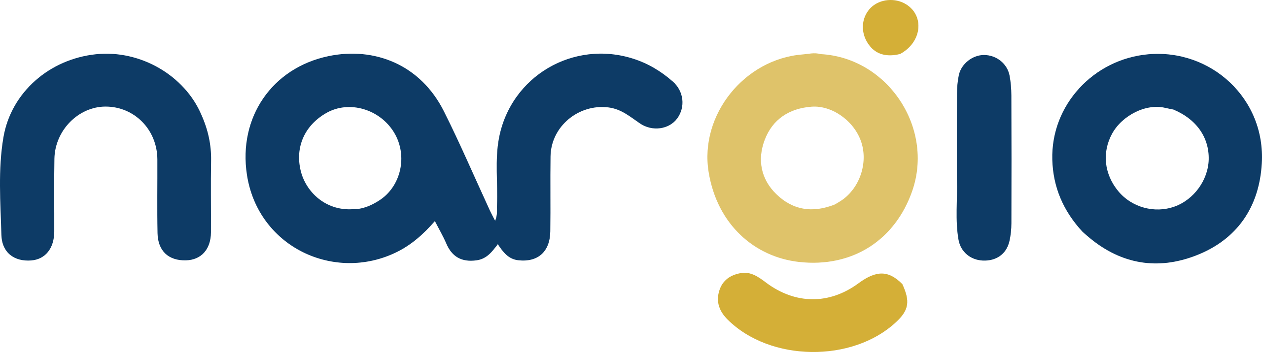 Nargio